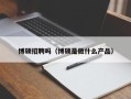 博硕招聘吗（博硕是做什么产品）