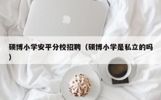 硕博小学安平分校招聘（硕博小学是私立的吗）