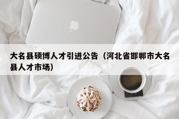 大名县硕博人才引进公告（河北省邯郸市大名县人才市场）-第1张图片-硕博招聘网