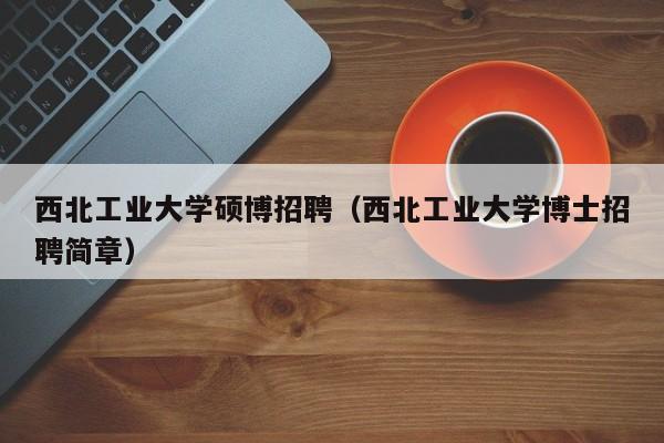 西北工业大学硕博招聘（西北工业大学博士招聘简章）-第1张图片-硕博招聘网