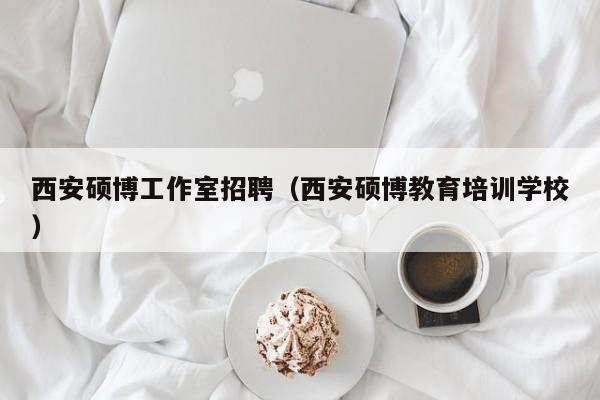 西安硕博工作室招聘（西安硕博教育培训学校）-第1张图片-硕博招聘网
